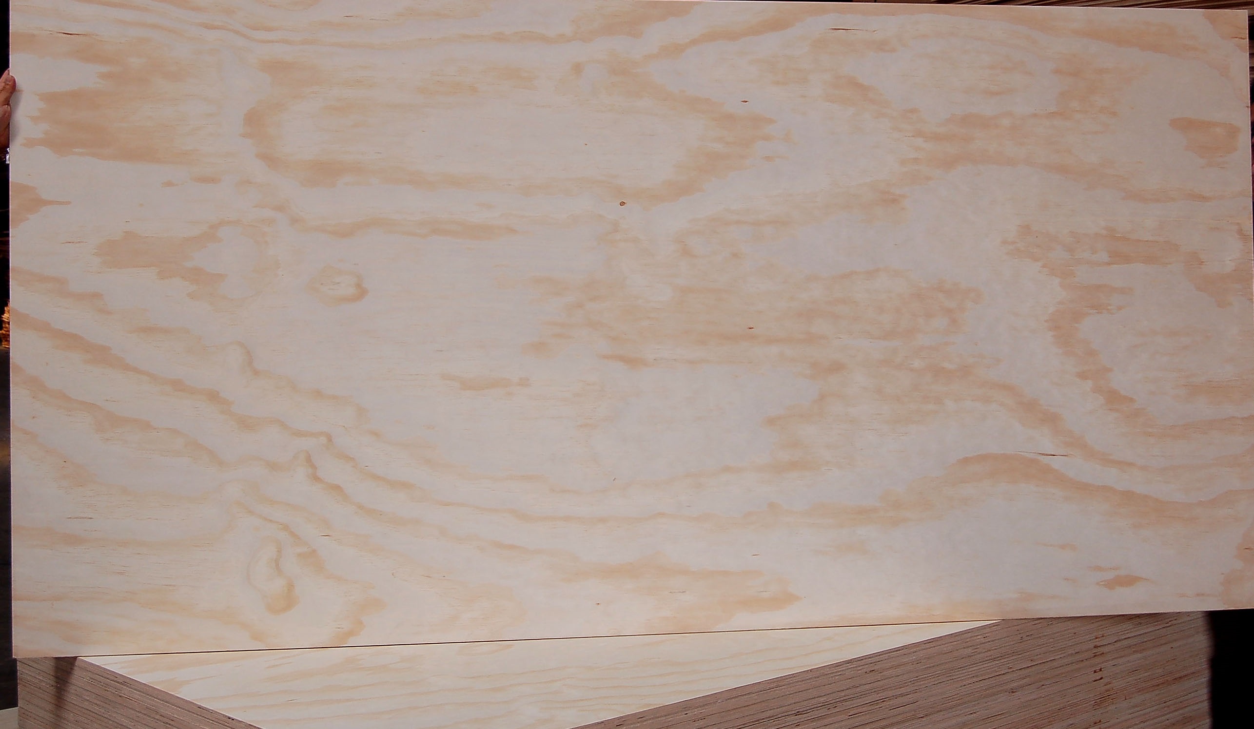 pine plywood7.jpg